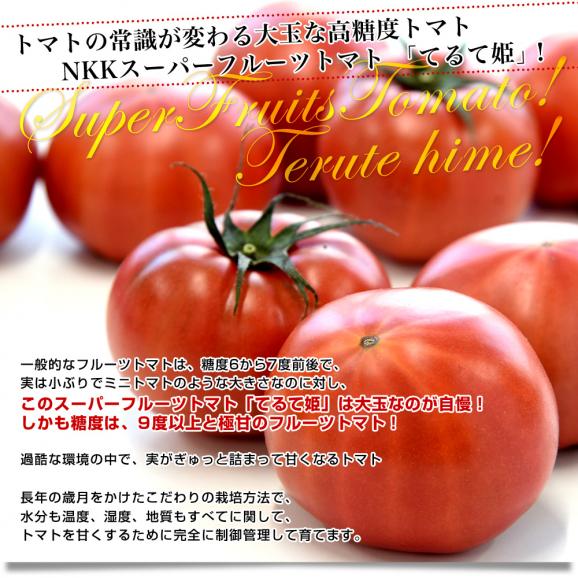 茨城県より産地直送 NKKアグリドリーム スーパーフルーツトマト 9度＋ A品 大粒厳選「てるて姫」約900g（6玉から8玉） 送料無料 高糖度トマト NKKトマト04