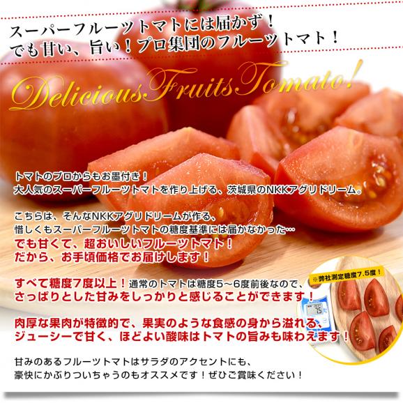 茨城県より産地直送 NKKアグリドリーム フルーツトマト 糖度7度以上 約800g(7玉から13玉) 送料無料 とまと 高糖度トマト04