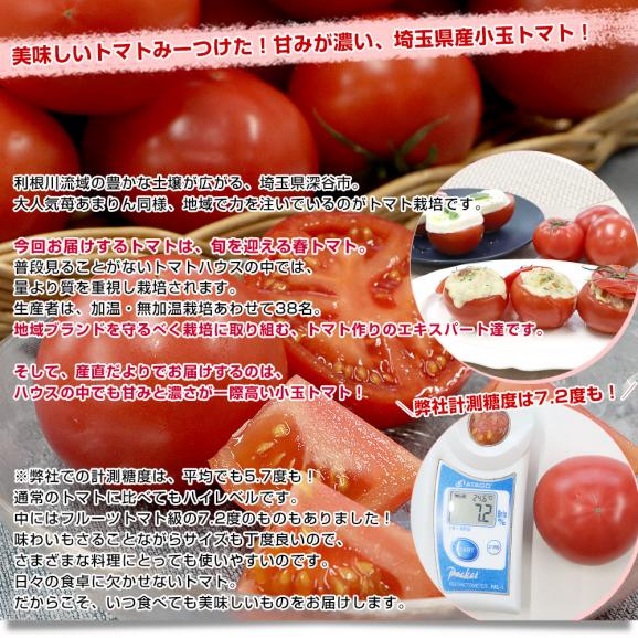 埼玉県産 こだわり農家の小玉トマト 約2.2キロ（約450g×5袋入） 送料無料 春トマト とまと 市場発送04