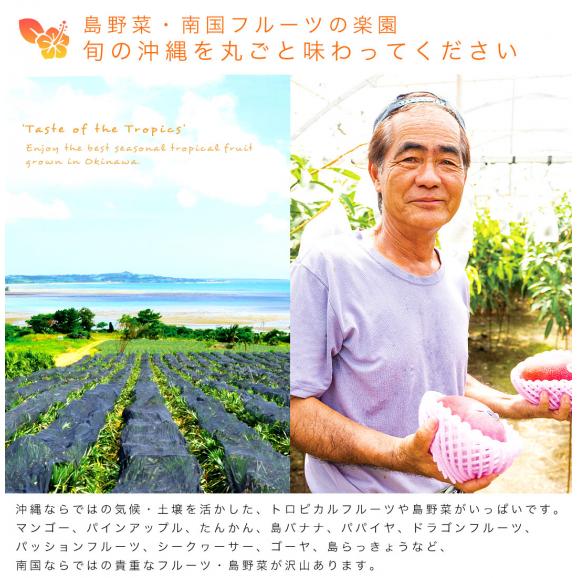 おきなわ果物・おきなわ島野菜　丸ごと　セットボックス！（パッションフルーツ2個・アテモヤ・ゴーヤ2本・さやいんげん・島らっきょ・モロヘイヤ）04