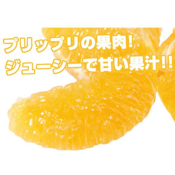 熊本県産 特選デコみかん2kg 2L 7~9玉入り(デコポンと同品種 不知火 ) 【送料無料】《3箱購入で1箱おまけ》04