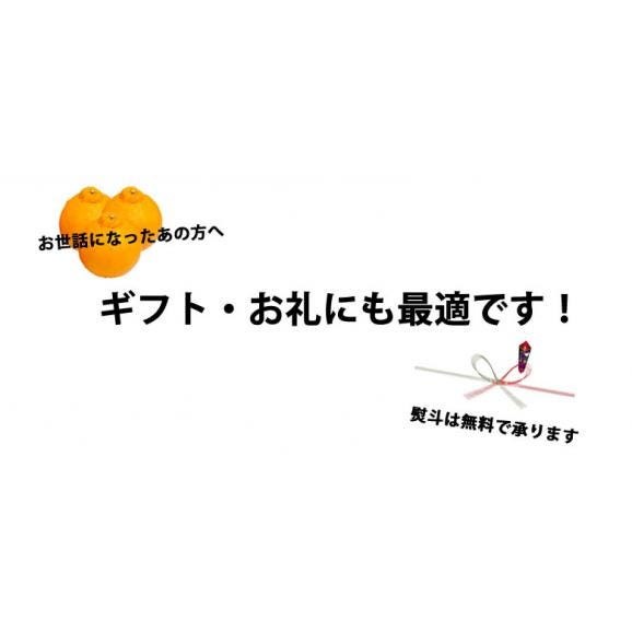 デコポン 光センサー選果 送料無料 秀品約2kg DEKOPON ハウス栽培 熊本県産 御歳暮 ギフト 不知火 フルーツ お取り寄せ みかん 蜜柑 ミカン04