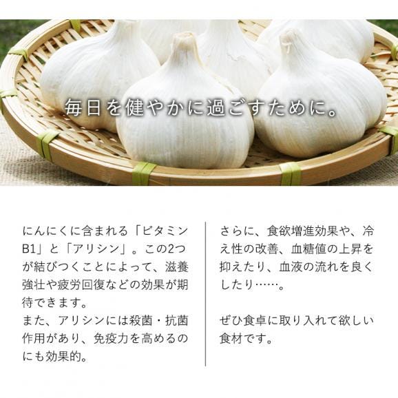 送料無料 青森県産 訳あり にんにく バラカケ 約500g 人気の福地ホワイト六片種04