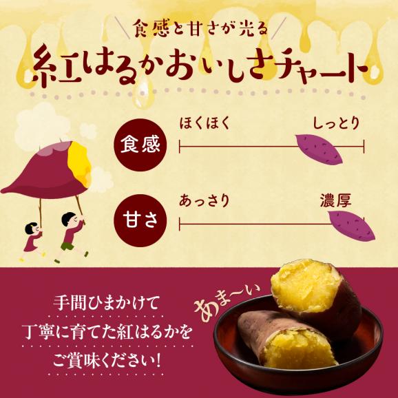 北海道十勝芽室町 なまら十勝野 芽室町産さつまいも【紅はるか】５㎏　me001-029c04