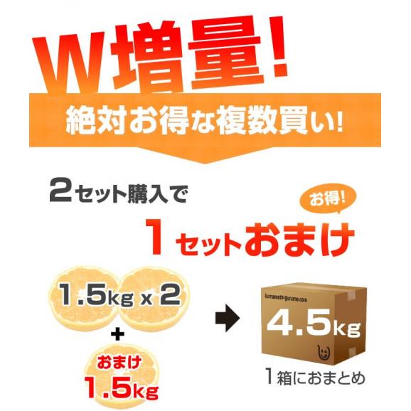 訳あり デコみかん 箱込1.5kg 2セット購入で1セットおまけ 3セット購入で3セットおまけ 送料無料 3月中旬〜下旬ごろより順次出荷開始 ご自宅用 デコポンと同品種04