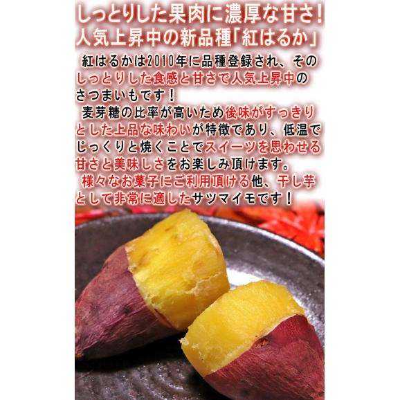紅はるか さつまいも 約5kg 千葉県・茨城県産 訳あり品 濃厚な味と栄養豊富な旬の野菜！甘み溢れる薩摩芋をお届け03