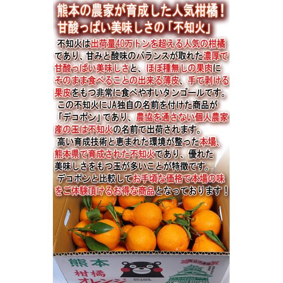 不知火 しらぬい 約5kg M～2Lサイズ中心 熊本県産 個人農家産 熊本県で育てた本場の味わい！デコポンと同品種のタンゴール04