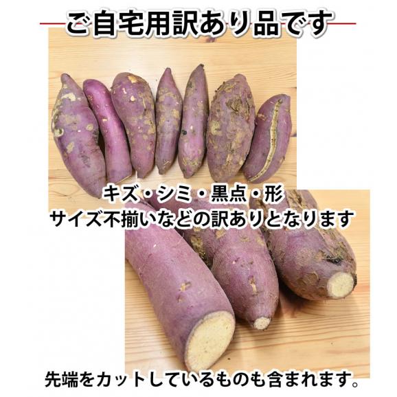 さつまいも 紅はるか 訳あり 1.5kg 送料無料 2セット購入で1セットおまけ 3セット購入で3セットおまけ お取り寄せ べにはるか 熊本・宮崎県産 サツマイモ 紅蜜芋 焼き芋 芋 いも04