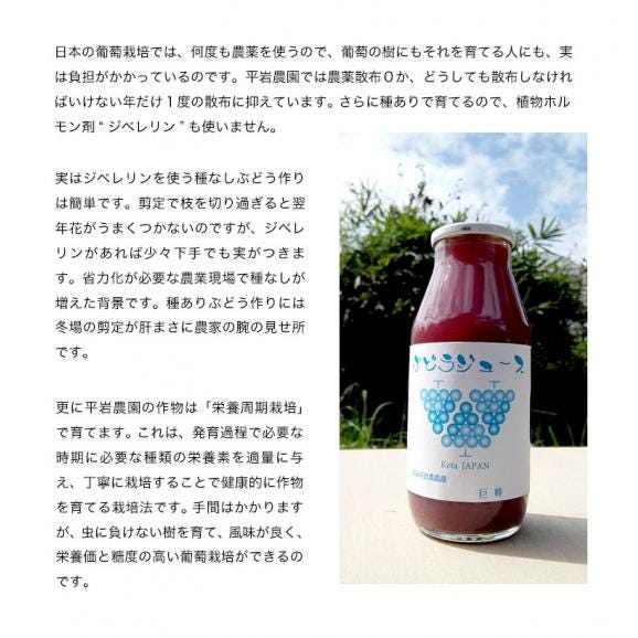 平岩農園 『種ありぶどうだけで作る6種のぶどうジュース』 180ml瓶×6本 ※常温　送料無料04