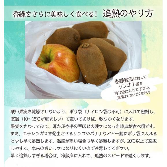 『香緑（こうりょく) スイート16』キウイフルーツ 香川県産 L～M 風袋込 約2.8kg（30～33玉） 産地箱 ※常温 送料無料05