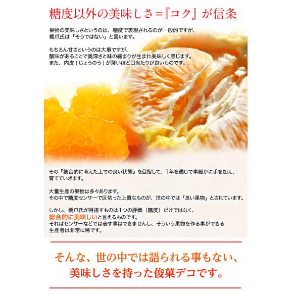 和歌山県産 長期樹上熟成 橋爪さんの『俊菓デコ』 （品種：しらぬひ） 秀品 2～3Lサイズ 6玉 約1.7kg 産地直送 ※常温 送料無料05