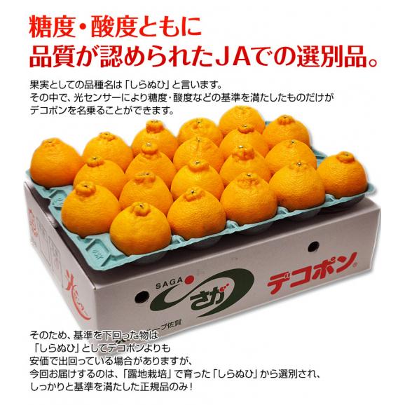 佐賀県産 デコポン 秀品 18～24玉　風袋込約５kg 送料無料05