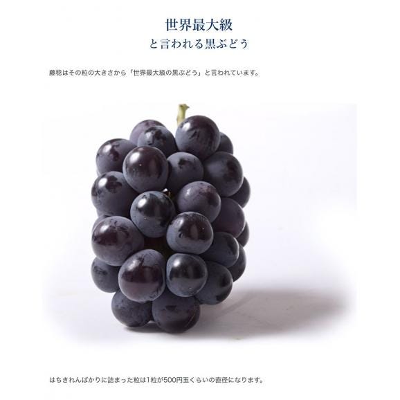 藤稔 （ふじみのり） 黒ぶどう 山梨県 勝沼産 3Lサイズ×2房 合計約1.1kg (1房約550g) 葡萄 ぶどう 冷蔵 送料無料05