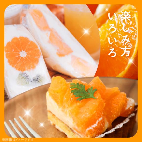 AB7204_（先行予約）（旬の美味）（みかん名産地和歌山有田）有田育ちの旬の ご家庭　旬の柑橘 詰め合わせセット 4.5kg（訳あり）05