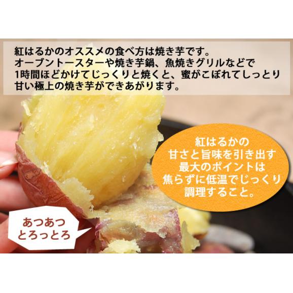 紅はるか 訳あり 箱込10kg 内容量9kg 補償分500g 送料無料 生芋 さつまいも 熊本県産 05