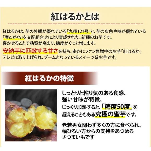 さつまいも 紅はるか 訳あり  5kg 箱込（内容量4kg＋補償分500g) 送料無料 熊本・宮崎県産 サツマイモ 紅蜜芋 焼き芋 芋 いも05