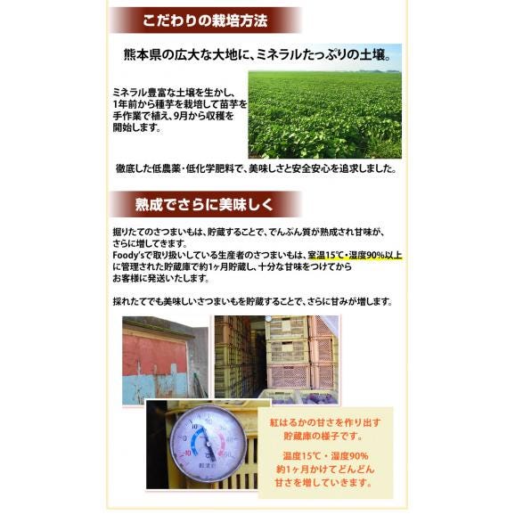 紅はるか さつまいも 送料無料 4.5kg 熊本県産 サツマイモ 紅蜜芋 焼き芋 芋 いも05