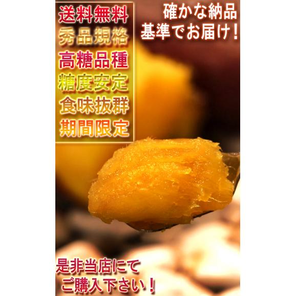 【秀品】紅はるか 約5kg 千葉県・茨城県産 ダントツの甘さを誇る紅はるか！ ギフトや贈答品にもオススメな見栄えの良い薩摩芋をお届け！ さつまいも 05