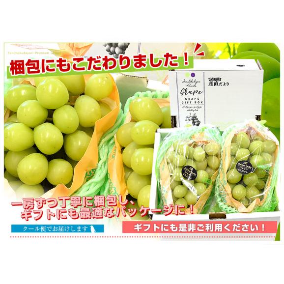 長野県産 シャインマスカット　約1キロ（2房）送料無料 ぶどう ブドウ 種なしぶどう　市場発送05