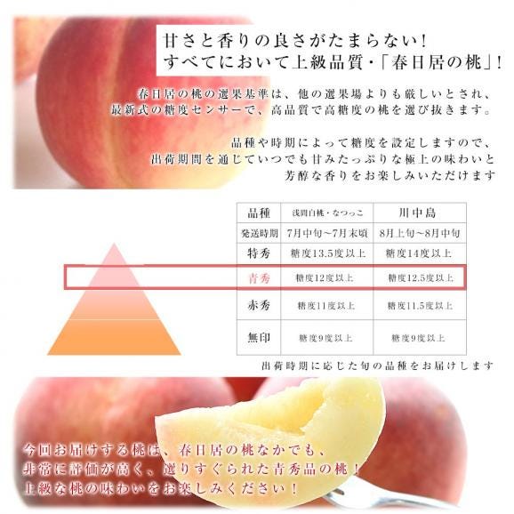 山梨県 JAフルーツ山梨 フルーツセット 春日居の桃 青秀品 4玉 (約1.2キロ) ＆高級ハウスシャインマスカット 秀品 1房 450g以上 送料無料 お中元 夏ギフト05