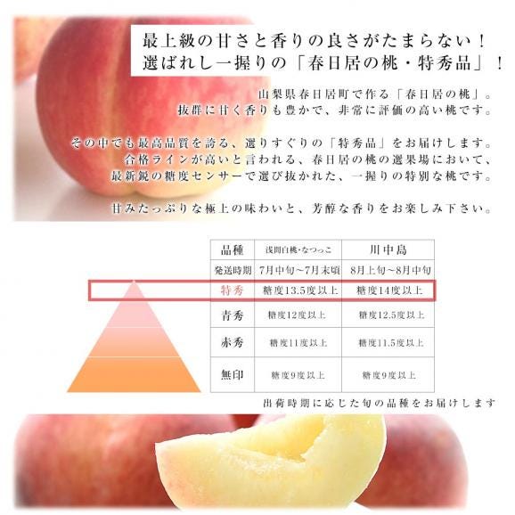 山梨県 JAフルーツ山梨 フルーツセット 春日居の桃 特秀品 4玉 (約1.2キロ) ＆高級ハウスシャインマスカット 秀品 1房 450g以上 送料無料 お中元 夏ギフト05