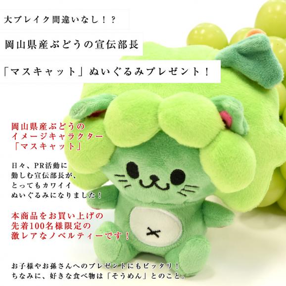 岡山県産 シャインマスカット「晴王」2房セット 約1.2キロ(約600g×2房）＋マスキャット（ぬいぐるみ）のおまけ付 送料無料 市場発送 ブドウ ぶどう 葡萄 クール便05