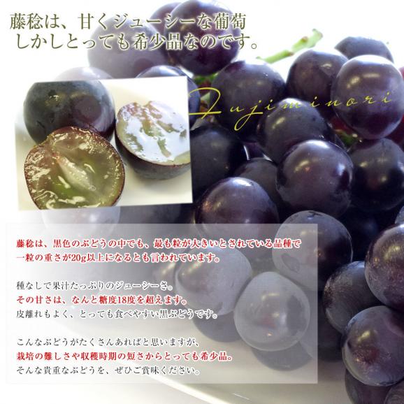 山梨県産 JAフルーツ山梨 藤稔(ふじみのり)＆ブラックビート（または種無しピオーネ） 各1房 合計約1キロ 送料無料 ぶどう 葡萄 黒ぶどう ぶどうセット05