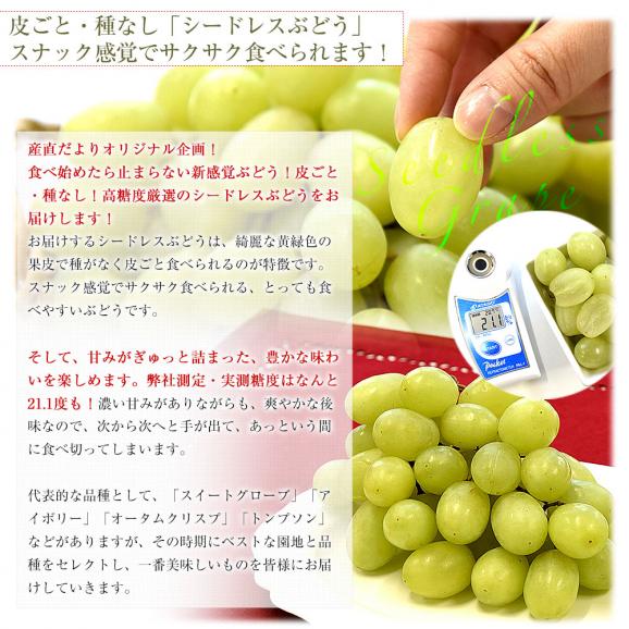 皮ごと食べられる！高糖度！シードレス緑ぶどう＆赤ぶどうセット オーストラリア産 約1.2キロ（約600g×2入）送料無料 種なしぶどう 輸入ぶどう 海外ぶどう05