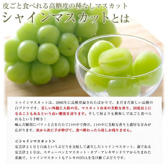 岡山県産　JA全農おかやま 高級ハウス栽培 シャインマスカット＆ニューピオーネセット 青秀品以上 大房 合計約1.2キロ (600g前後×2房)　送料無料 ブドウ 葡萄 フルーツギフト ※クール便05
