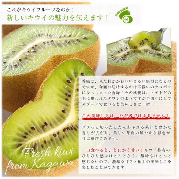 香川県より産地直送 JA香川県 キウイフルーツ 香緑(こうりょく) 　訳あり品　約3キロ　(15から30玉前後) 送料無料05