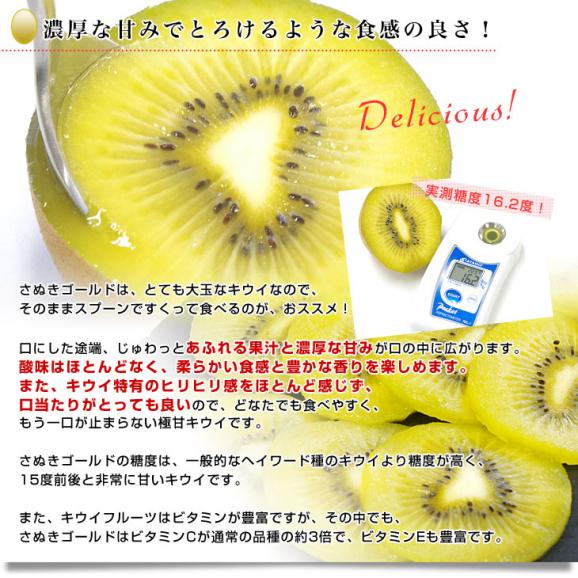 香川県より産地直送 JA香川県 キウイフルーツ さぬきゴールド 秀品 1.3キロ化粧箱（7玉から9玉）送料無料05