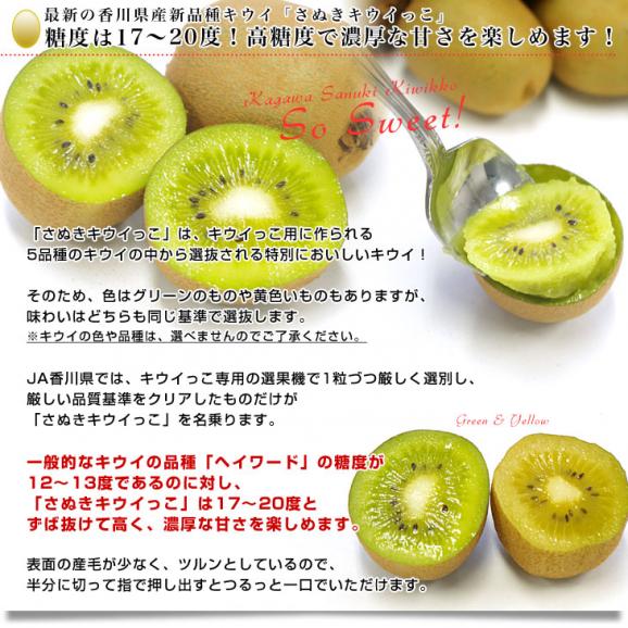 香川県より産地直送 JA香川県 高糖度キウイ さぬきキウイっこ 2キロ　(40玉から80玉前後) 送料無料　キウイフルーツ 讃岐キウイ きういっこ 国産キウイ05