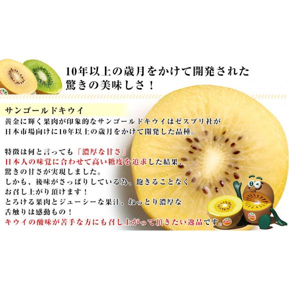 ニュージーランド産 ゼスプリ「サンゴールドキウイ」「グリーンキウイ」詰合せ約2キロ（合計18玉）送料無料 トロピカルフルーツ 市場発送05