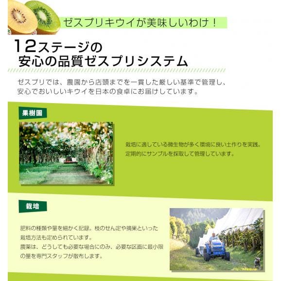 ニュージーランド産 ゼスプリ・サンゴールドキウイ約1.8キロ（合計14玉から20玉） 送料無料　キウイフルーツ05