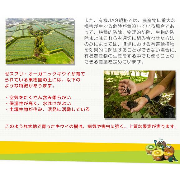 ニュージーランド産 ゼスプリ・オーガニックキウイ（グリーン）１キロ 送料無料 クール便 キウイフルーツ ヘイワード 完熟キウイ オーガニック05
