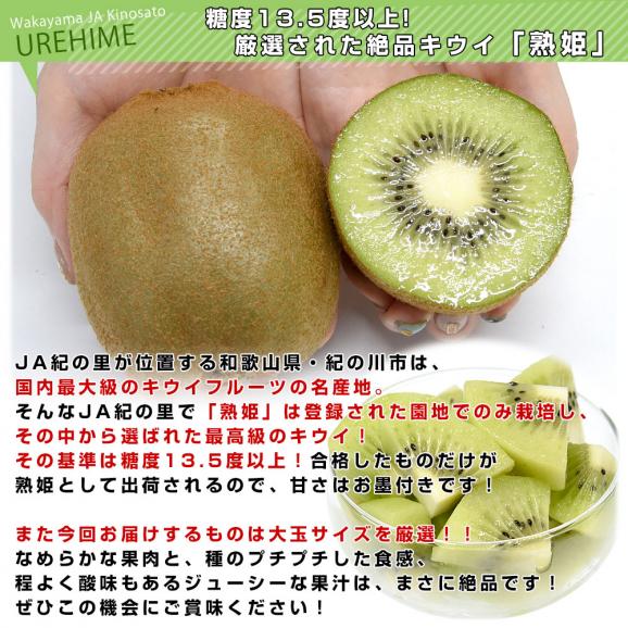 【キウイセット】和歌山県 JA紀の里「熟姫(うれひめ)」+福岡県 JAふくおか八女「博多甘熟娘(はかたうれっこ)」合計約1.8キロ（10玉から12玉）送料無料 市場発送 05