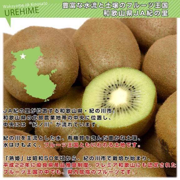 和歌山県産 JA紀の里 熟姫(うれひめ) 約3.6キロ(20玉から27玉入り) 送料無料 キウイフルーツ グリーンキウイ ヘイワード 市場発送05