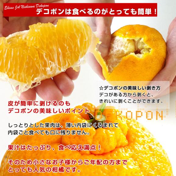 愛媛県 JAにしうわ デコポン 秀品  約2.5キロ 3LからLサイズ（9玉から12玉）でこぽん 柑橘 オレンジ 西宇和 八幡浜05