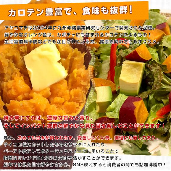 千葉県産　JAかとり　アヤコマチ　Mサイズ2.5キロ　10本前後　送料無料　さつまいも　サツマイモ　薩摩芋　にんじん芋　オレンジ芋　野菜　市場発送05