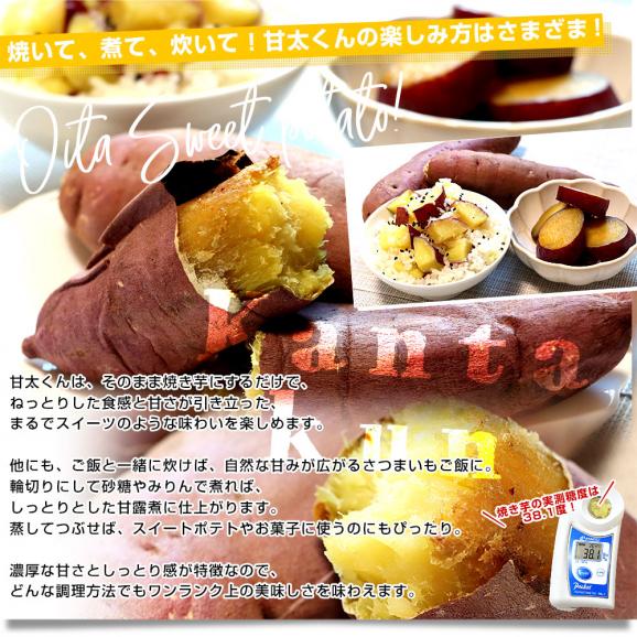 大分県産 JAおおいた 甘太くん Mサイズ 約2.5キロ（14本前後）送料無料 かんたくん サツマイモ 薩摩芋 甘藷 かんしょ 紅はるか べにはるか05