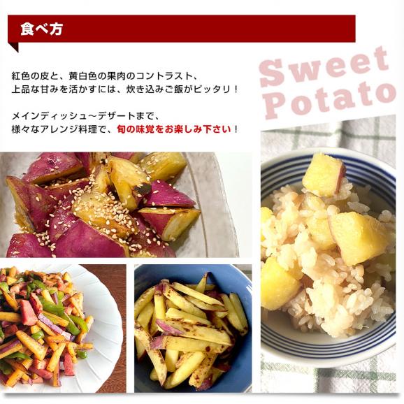 高知県産 JA高知県 土佐紅 A級品MからLサイズ5キロ 18本前後 送料無料　とさべに さつまいも サツマイモ 薩摩芋 新芋 市場発送05