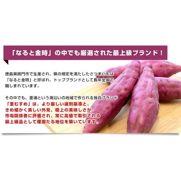 徳島県産　JA里浦　なると金時「里むすめ」　Lサイズ2.5キロ　10本前後　送料無料　きんとき　さつまいも　サツマイモ　薩摩芋　新芋　高系14号　市場発送05