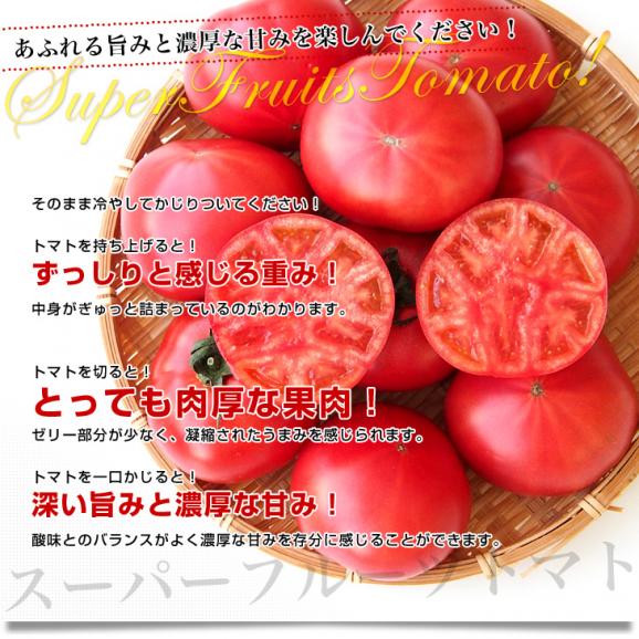 茨城県より産地直送 NKKアグリドリーム スーパーフルーツトマト 9度＋ A品 約1キロ（8玉から16玉）  送料無料 高糖度トマト NKKトマト05