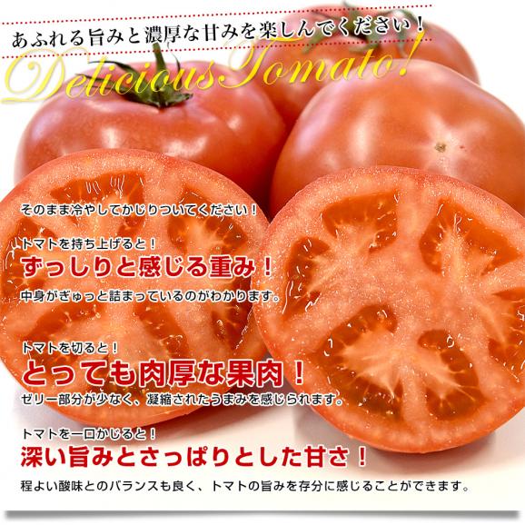 茨城県より産地直送 NKKアグリドリーム フルーツトマト 糖度7度以上 約800g(7玉から13玉) 送料無料 とまと 高糖度トマト05
