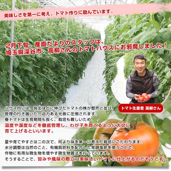 埼玉県産 こだわり農家の小玉トマト 約2.2キロ（約450g×5袋入） 送料無料 春トマト とまと 市場発送05