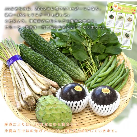 おきなわ果物・おきなわ島野菜　丸ごと　セットボックス！（パッションフルーツ2個・アテモヤ・ゴーヤ2本・さやいんげん・島らっきょ・モロヘイヤ）05