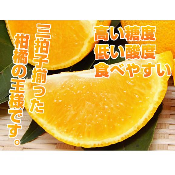 熊本県産 特選デコみかん2kg 2L 7~9玉入り(デコポンと同品種 不知火 ) 【送料無料】《3箱購入で1箱おまけ》05