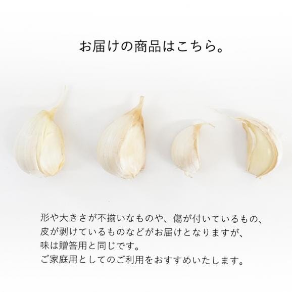 送料無料 青森県産 訳あり にんにく バラカケ 約500g 人気の福地ホワイト六片種05