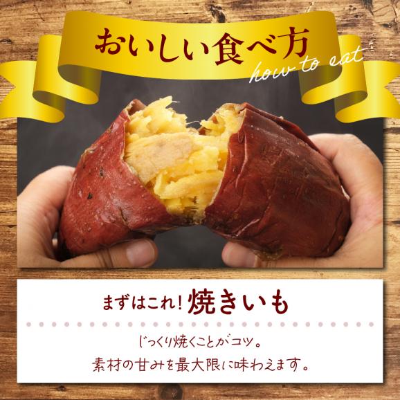 北海道十勝芽室町 なまら十勝野 芽室町産さつまいも【紅はるか】５㎏　me001-029c05