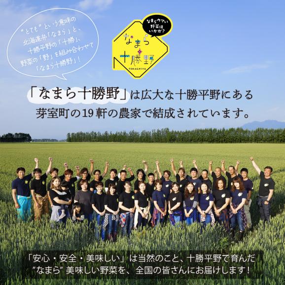 北海道十勝芽室町　なまら十勝野のいもづくし 7種 計4kg me001-048c05
